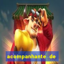 acompanhante de luxo agenda 31